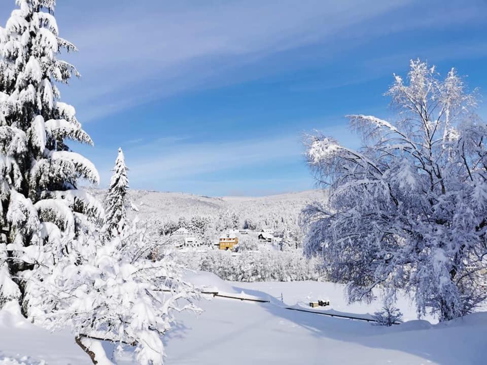 Studio Soleil au Hohwald Extérieur photo